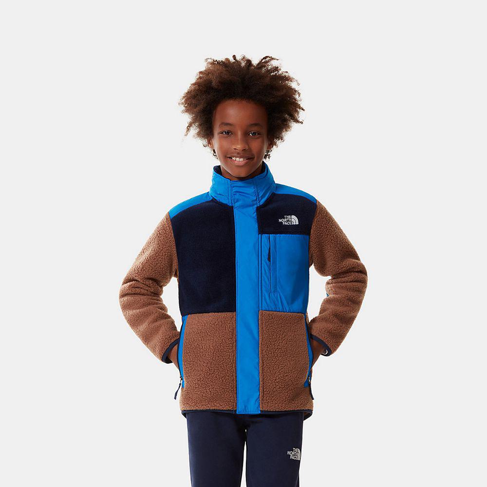 The North Face Forest Mixed Media Full-Zip Αγόρια Φούτερ Hoodie - Καφε (ICZL48215)